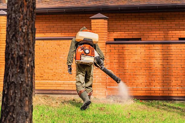 Bed Bug Clearance Verification and Documentation in Willmar